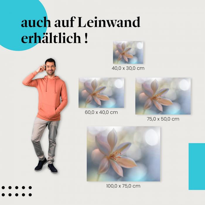Lilie: Leinwandbild. Pastell, Bokeh, elegant.