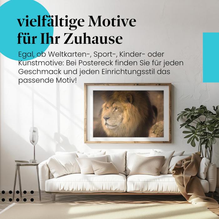Leinwandbild "Löwe": Majestätischer Blick, Kraft & Gelassenheit.