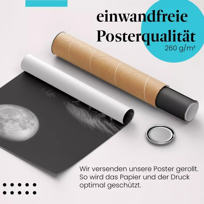 Löwe im Mondlicht | Postereck 2209