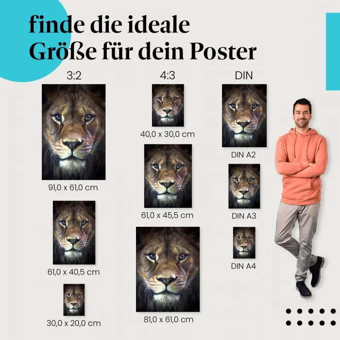 Löwenportrait | Postereck 3684