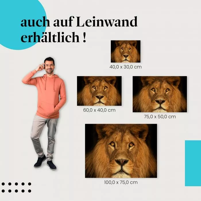 Löwenportrait | Postereck 2208