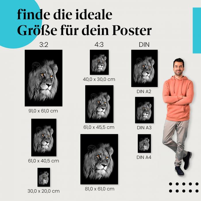 Löwe Poster: König der Tiere - jetzt Postergröße wählen!