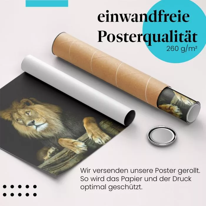 Ruhende Raubkatze | Postereck 2807