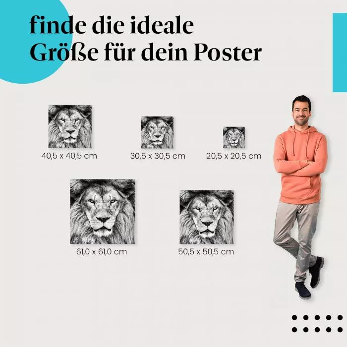 Majestätischer Löwe | Postereck 2297