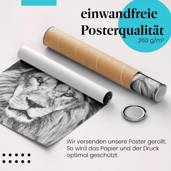 Majestätischer Löwe | Postereck 2297