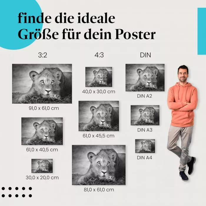  Löwenjunges: Zauberhafter Blick | Postereck 0222