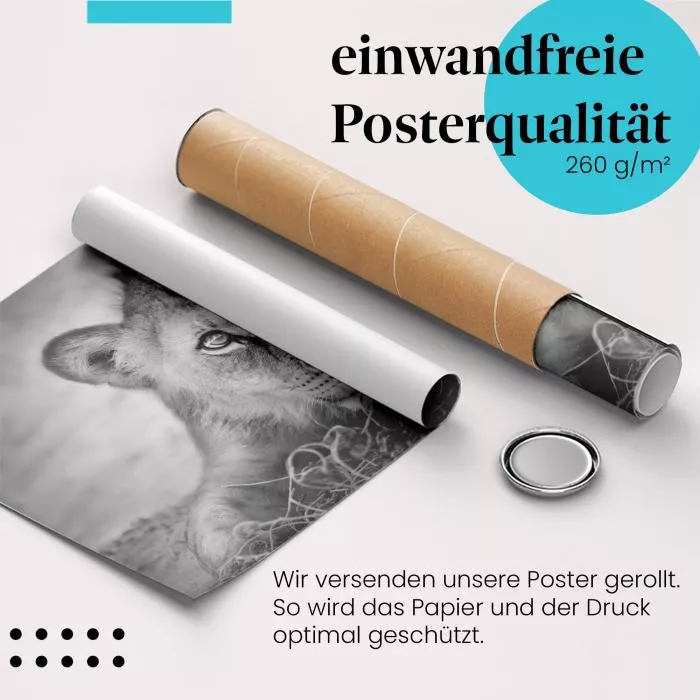  Löwenjunges: Zauberhafter Blick | Postereck 0222
