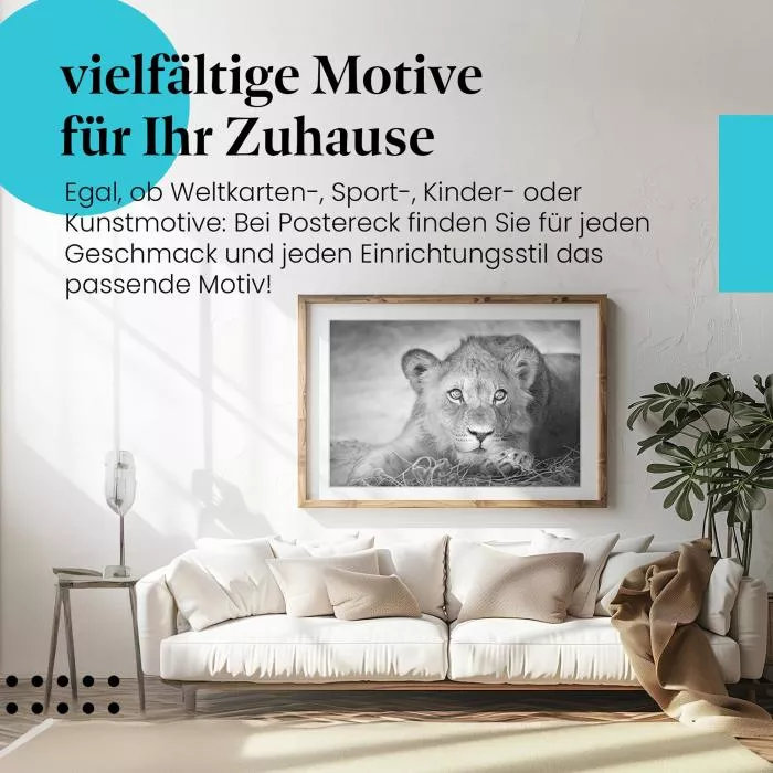  Löwenjunges: Zauberhafter Blick | Postereck 0222