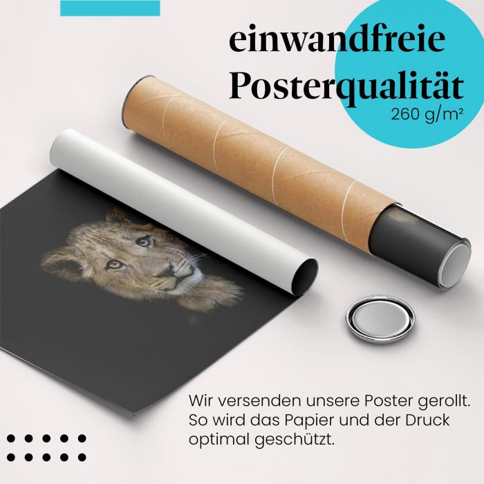 Gerolltes Poster "Löwenjunges". Wildtier, sicher verpackt.