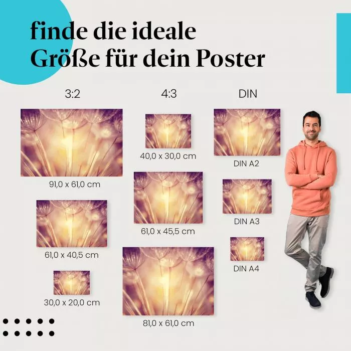 Magischer Löwenzahnsamen: Sonnenlicht | Postereck 1491
