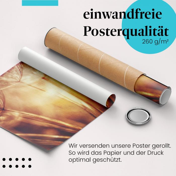 "Löwenzahnsamen": Gerolltes Poster - Licht, Vergänglichkeit.