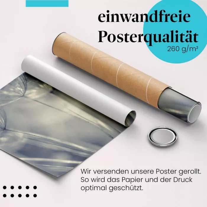 Löwenzahnsamen in Schwarzweiß | Postereck 1313