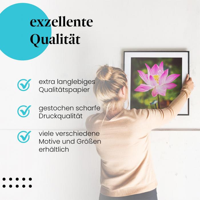 Preview: Pinke Lotusblüte | Postereck 2873