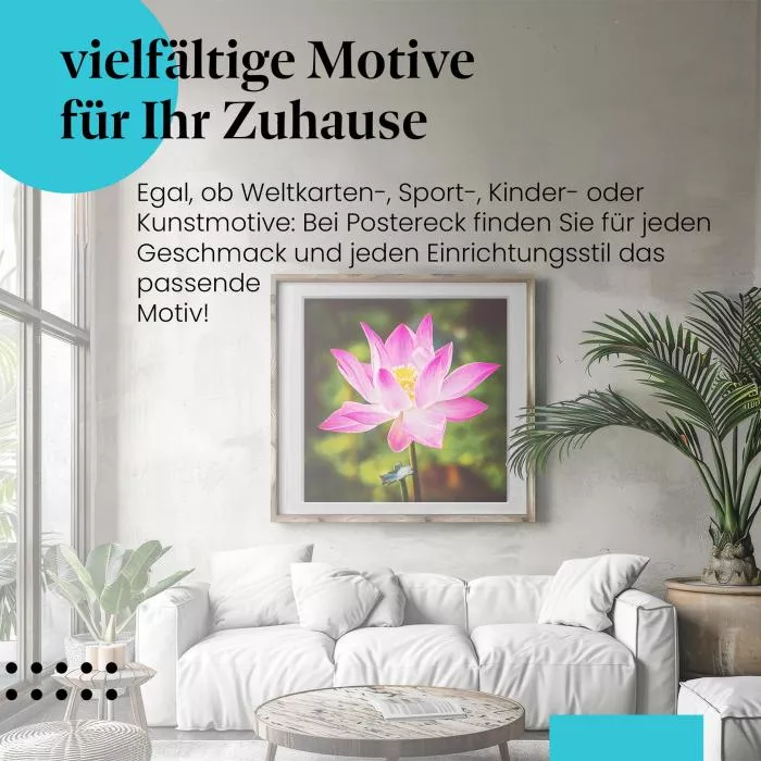Pinke Lotusblüte | Postereck 2873