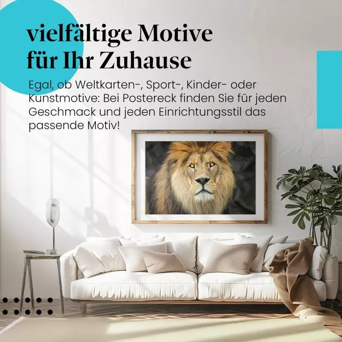Löwenportrait | Postereck 2801