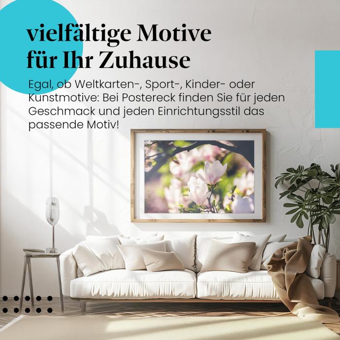 Leinwandbild "Magnolienblüten": Abendsonne, Gegenlicht - romantische Stimmung.