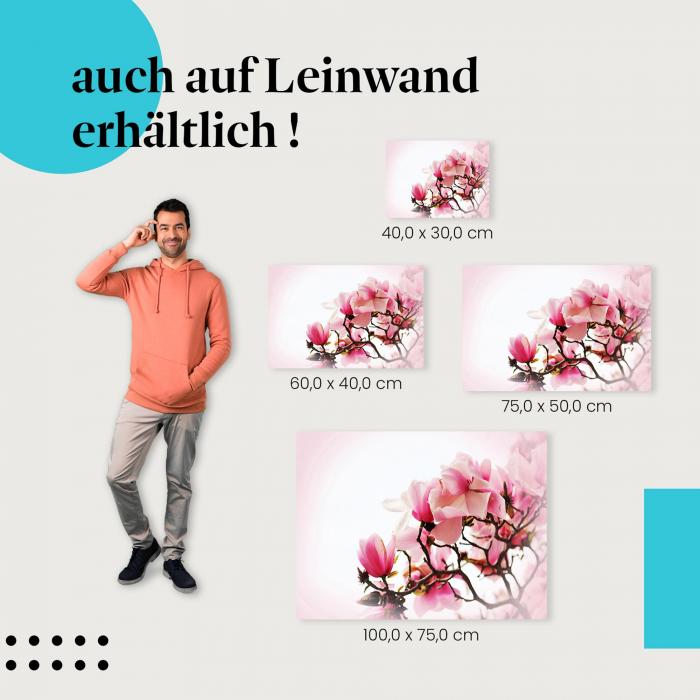 Magnolien: Leinwandbild. Rosa, Frühling, romantisch.