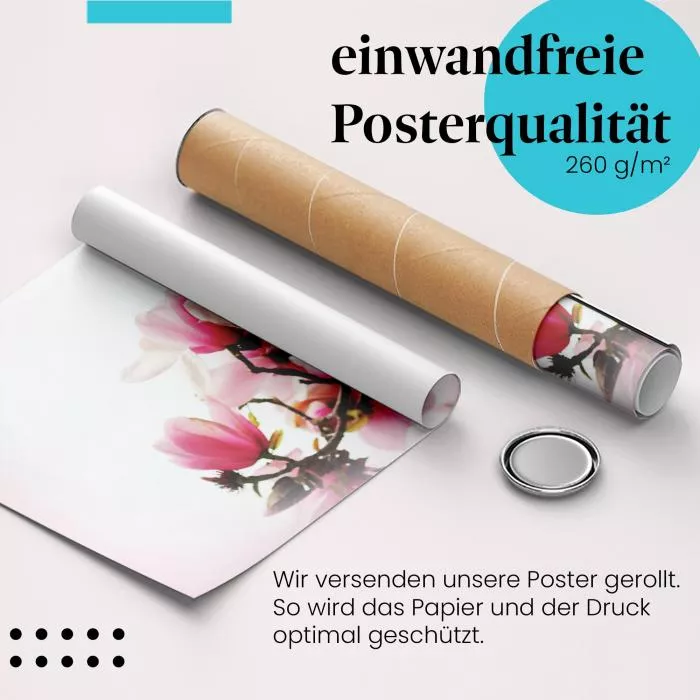 Rosa Magnolienblüten | Postereck 3298