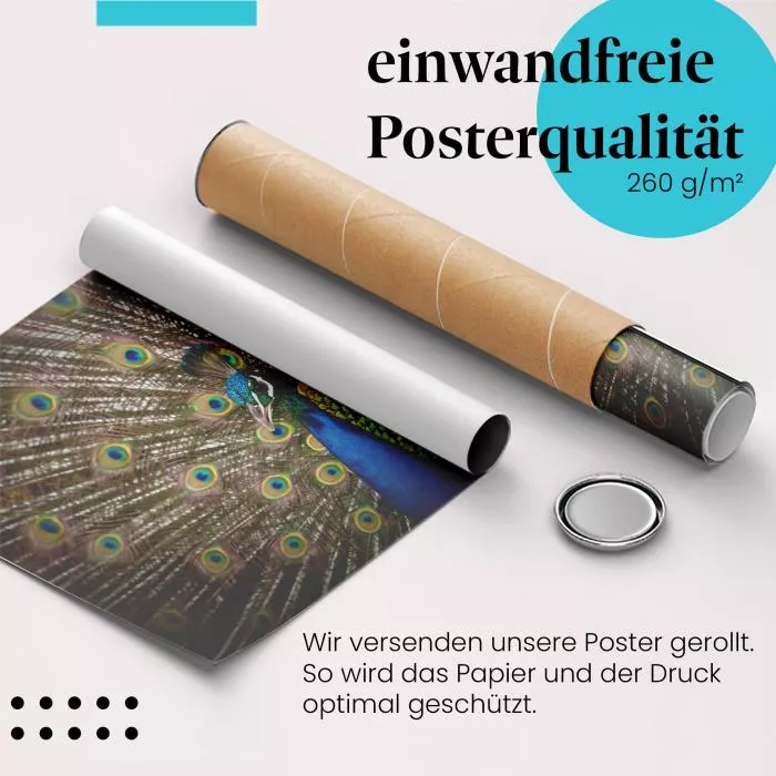 Paradiesvogel | Postereck 3926