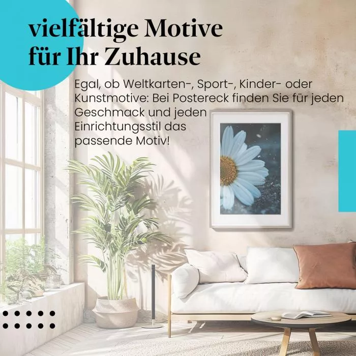 Margerite auf Asphalt | Postereck 2850