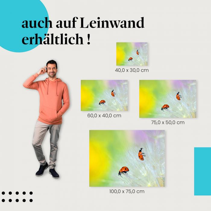 Marienkäfer & Pusteblume: Leinwandbild. Glück, Frühling. Wähle deine Größe!