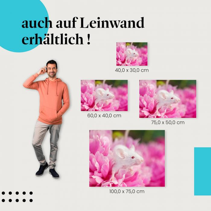 Maus: Leinwandbild. Rosa Pfingstrose, niedlich.
