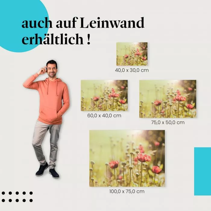 Rote Mohnblumen | Postereck 2165