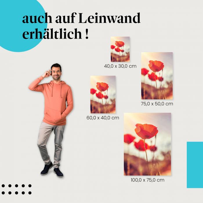 Leinwandbild "Rote Mohnblumen": Sommer & Natur