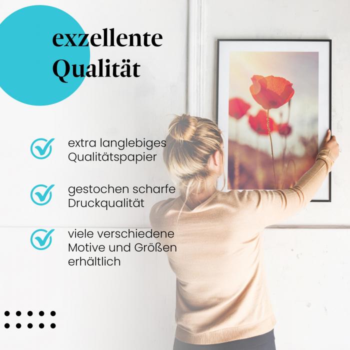Gerahmtes Wandbild: Rote Mohnblumen im Sonnenuntergang.
