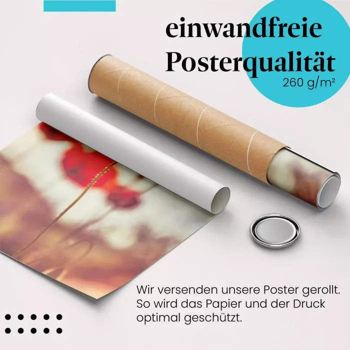 Rote Mohnblumen: Sonnenuntergang | Postereck 1492
