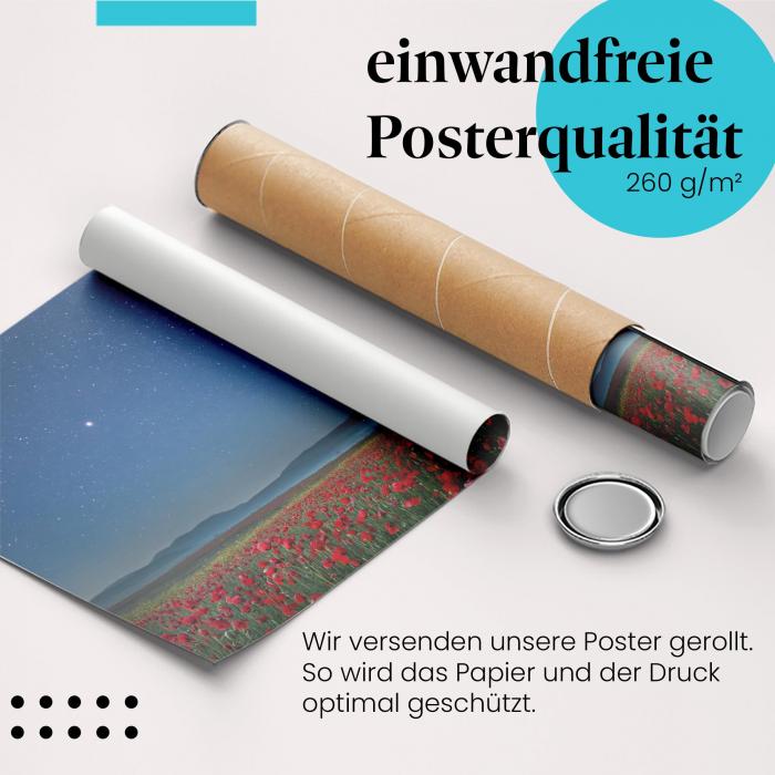 Gerolltes Poster "Mohnblumen & Sterne" - Natur & Universum, sicher verpackt.