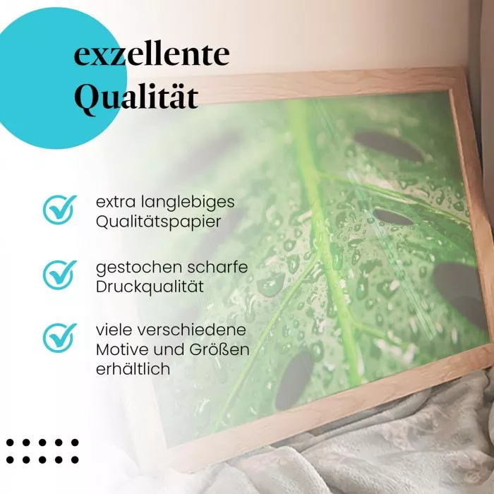 Monstera Blatt | Postereck 2831