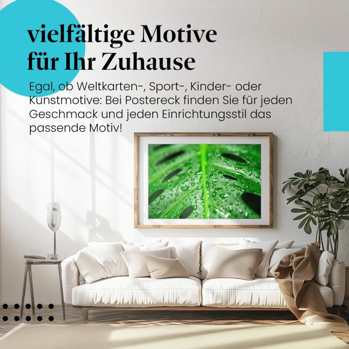 Leinwandbild "Monstera-Blatt": Tropisches Flair, frische Wassertropfen - ein Hingucker!