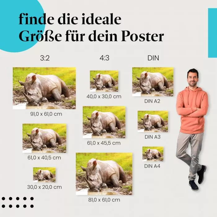 Nashorn im Schlamm: Wildlife | Postereck 1490