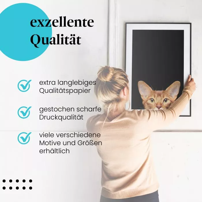 Neugierige Katze | Postereck 3613