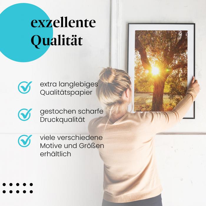 "Olivenbaum": Gerahmtes Wandbild - Symbol für Frieden.