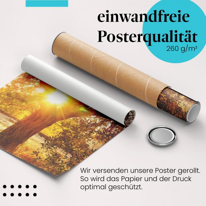 Gerolltes Poster "Olivenbaum", Frieden, Symbol.