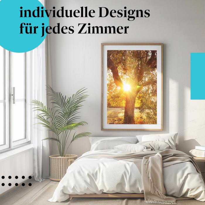 Olivenbaum Poster: "Olivenbaum im Sonnenlicht" - Symbol für Frieden & Langlebigkeit