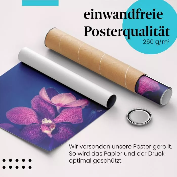 Orchidee: Exotisch, Lila | Postereck 1525