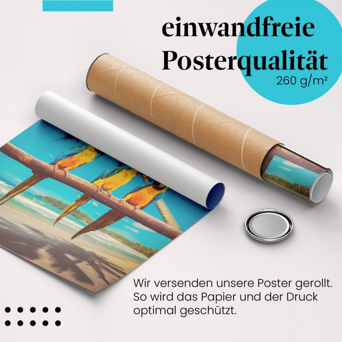 Gerolltes Poster "Papageienparadies" - Tropisches Flair, sicher verpackt.