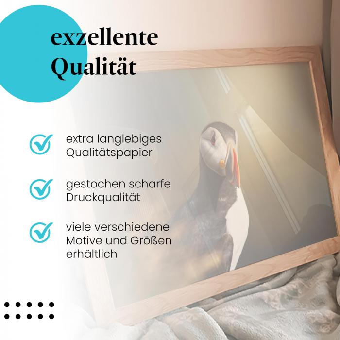 Gerahmtes Wandbild "Papageientaucher, Nahaufnahme". Hochwertiger Druck, verschiedene Größen erhältlich.