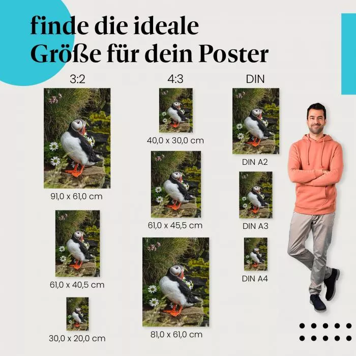 Papageientaucher | Postereck 3209