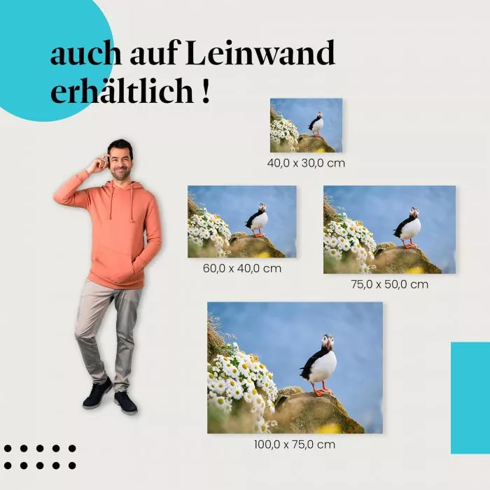 Papageientaucher | Postereck 3842