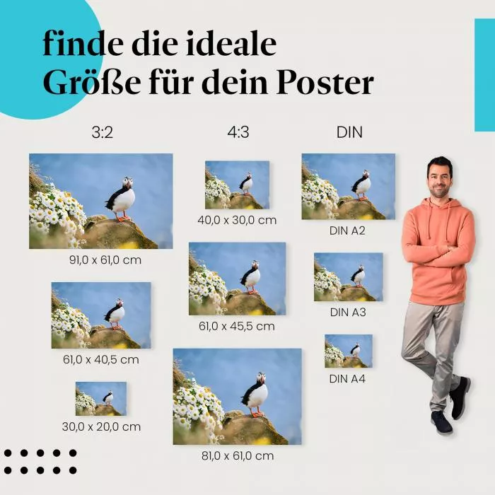 Papageientaucher | Postereck 3842