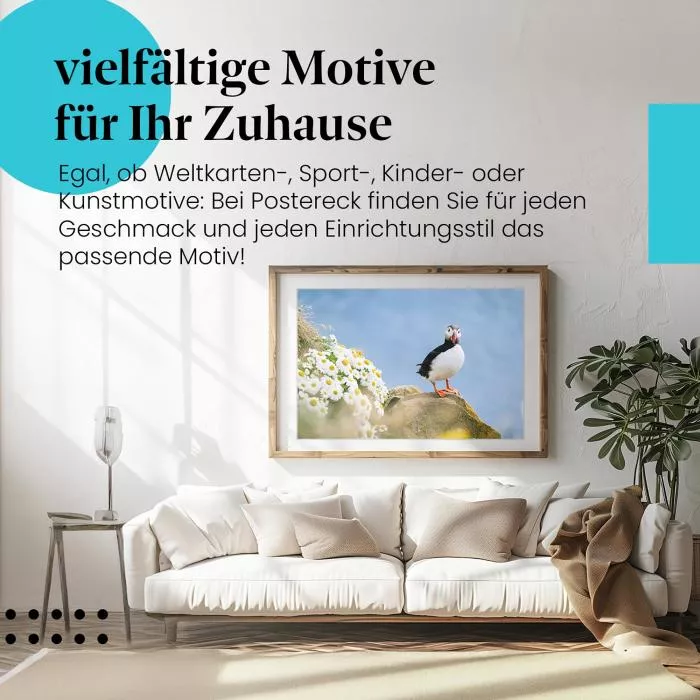 Papageientaucher | Postereck 3842