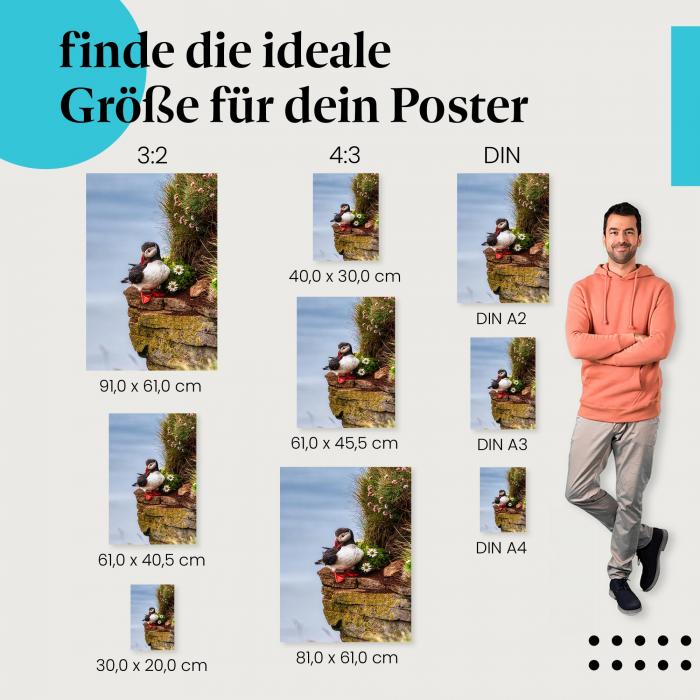 Papageientaucher, Poster: Klippe, putzen, Blüten.