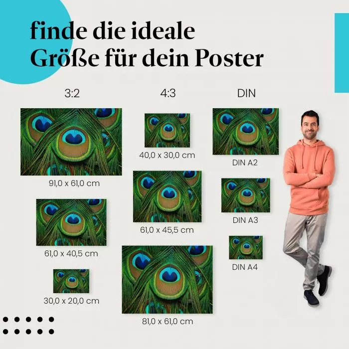 Pfauenfedern | Postereck 2799