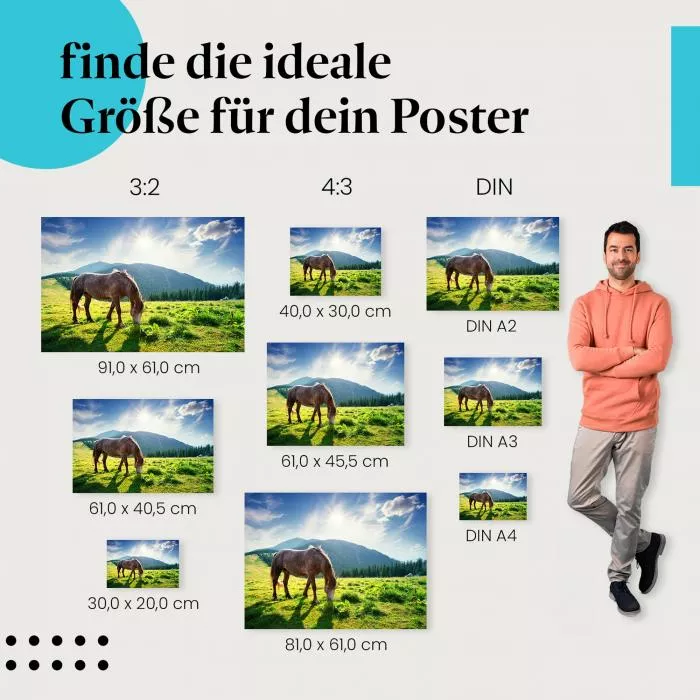 Pferd auf der Weide | Postereck 2957