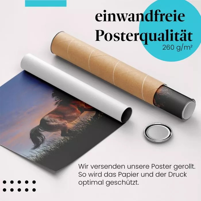 Pferd im Abendrot | Postereck 2922