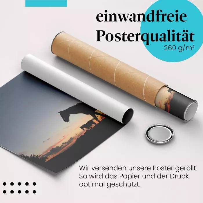 Freiheit im Galopp | Postereck 0921